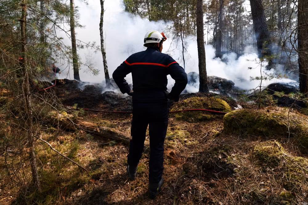 Maîtrise des incendies dans le massif de Seine-et-Marne et évolutions judiciaires